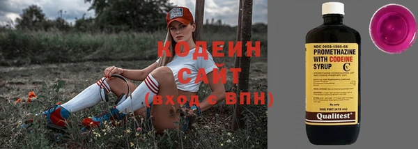 гидра Горняк