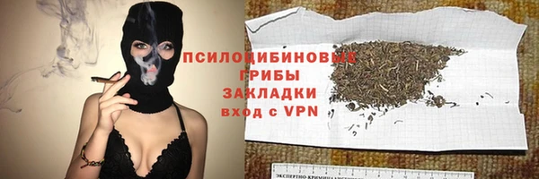 гидра Горняк