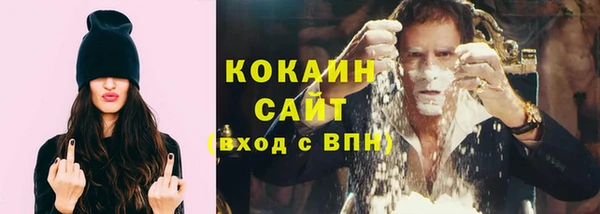 гидра Горняк