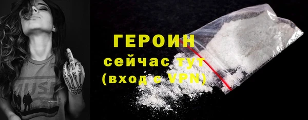 гидра Горняк