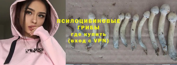марки nbome Гусев
