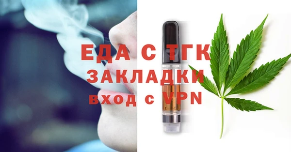 гидра Горняк