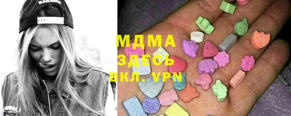 гидра Горняк